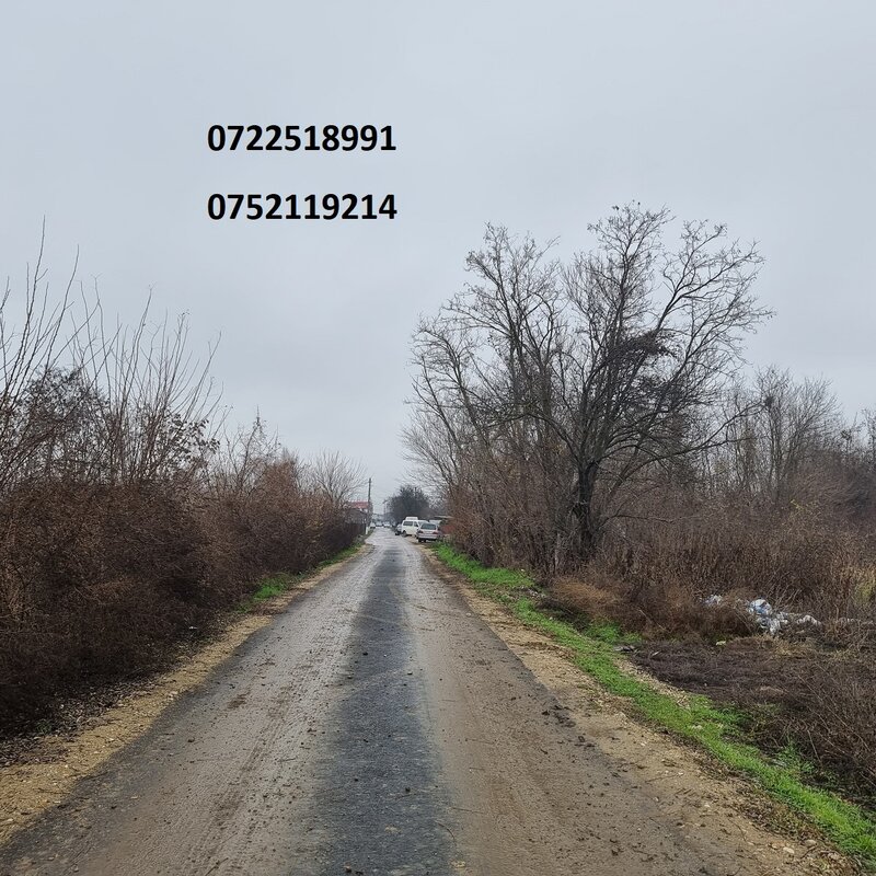 Bolintin Vale, ocazie teren, Autostrada A1, Palanca, km 31, doar 6 euro/mp